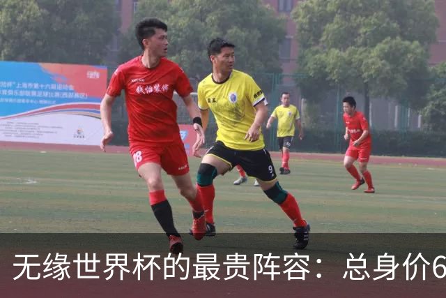 无缘世界杯的最贵阵容：总身价6.7亿 意大利5人